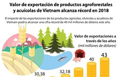 [Info] Valor de exportación de productos agroforestales y acuícolas de Vietnam alcanza récord en 2018