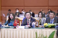 Vietnam asiste a la reunión del Comité Ejecutivo de AIPA
