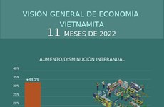 Visión general de economía vietnamita de 11 meses de 2022