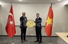 Refuerzan cooperación Auditoría Estatal de Vietnam y Tribunal de Cuentas de Turquía