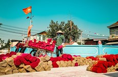 Aldea de oficios tradicionales en Hanoi elabora más inciensos en la víspera del Tet