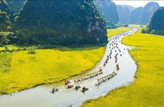Efectuarán Semana de Turismo de Ninh Binh en Tam Coc-Bich Dong