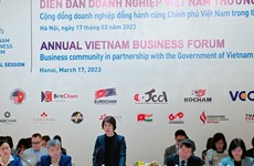 Camino de la economía verde, elección de progreso para Vietnam