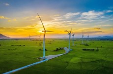 Energía verde: soluciones de desarrollo sostenible para el futuro