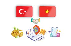 Fomentan nexos de cooperación Vietnam-Turquía