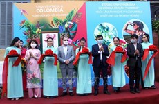 En provincia vietnamita exposición sobre flores de Colombia