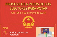 Proceso de seis pasos de los electores para votar en Vietnam