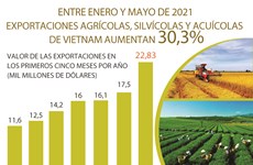 Crecen exportaciones agrícolas, silvícolas y acuícolas de Vietnam entre enero y mayo