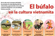 El búfalo en la cultura vietnamita