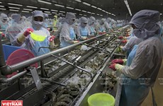 Vietnam busca convertir al sector acuícola en un pilar económico