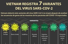Vietnam registra siete variantes del virus SARS-CoV-2