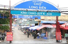 Bloquean temporalmente el mayor mercado mayorista en Hanoi por COVID-19