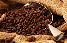 Vietnam se mantiene como segundo exportador mundial de café
