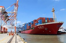 Clúster portuario Cai Mep-Thi Vai promoverá crecimiento económico de Vietnam