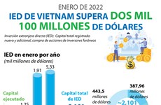 IED de Vietnam supera dos mil 100 millones de dólares