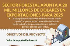 Sector forestal apunta a 20 mil millones de dólares en exportaciones para 2025