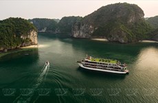 Exploran bahía vietnamita de Lan Ha