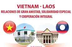 Nexos de gran amistad, solidaridad especial y cooperación integral Vietnam-Laos