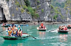 Vietnam disfruta de fuerte aumento en número de turistas indios