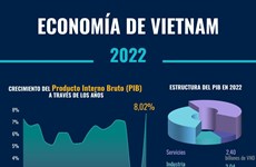 Economía de Vietnam crece 8,02 por ciento en 2022