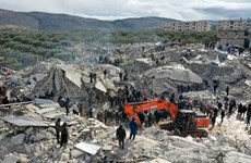 No se reportan víctimas vietnamitas por terremotos en Turquía y Siria