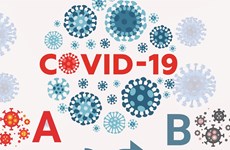 Vietnam por clasificar COVID-19 como enfermedad común