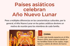 Países asiáticos celebran Año Nuevo Lunar   
