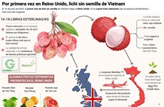 Por primera vez en Reino Unido, lichi sin semilla de Vietnam 