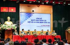 Nace en Vietnam Asociación Nacional de Ciberseguridad con cientos de miembros