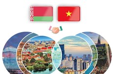 Nexos de amistad tradicional y cooperación multifacética Vietnam-Belarús