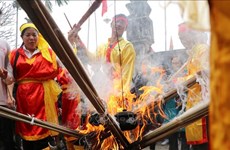 Concurso de preparación de arroz en Hanoi, una tradición de Año Nuevo Lunar
