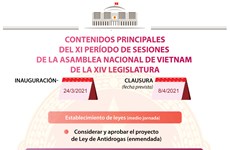 Amplia agenda del XI período de sesiones del Parlamento vietnamita de XIV legislatura
