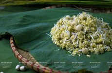 Arroz verde glutinoso: producto típico de Hanoi en otoño