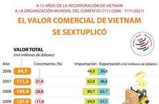 Valor comercial de Vietnam se sextuplicó tras 15 años de incorporación a OMC