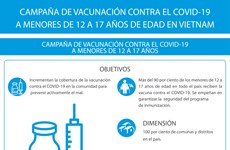 Vietnam garantiza eficiencia de vacunación contra COVID-19 a menores 