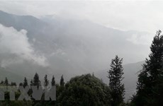 “Caza de nubes” en el norte de Vietnam: experiencia inolvidable para turistas