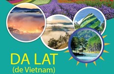 Ciudad de Vietnam entre mejores destinos del mundo para contemplar flores