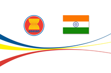 Resaltan aportes de Vietnam a relaciones entre ASEAN y la India  ​