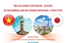 Relaciones Vietnam- Japón se desarrollan de forma integral y efectiva