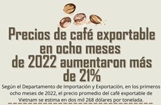 Aumentan precios de café exportable de Vietnam en ocho meses