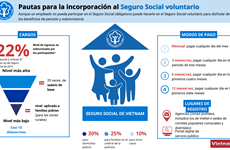 Pautas para la incorporación al Seguro Social voluntario