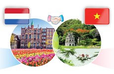 Progreso incesante de relaciones multifacéticas Vietnam- Países Bajos