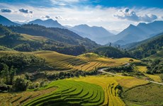 Vietnam: país de paisajes pintorescos famosos