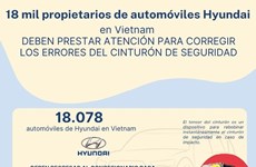 Propietarios de automóviles Hyundai en Vietnam deben prestar atención para corregir los errores del cinturón de seguridad