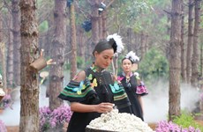 Desfile de moda honra la cultura de las tierras de Altiplanicie Occidental