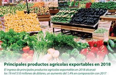 [Info] Principales productos agrícolas exportables en 2018