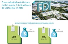 [Info] Vietnam capta en 2018 unos 8,3 mil millones de USD de IED