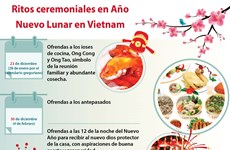 [Info]  Ritos ceremoniales en el Nuevo Año Lunar en Vietnam