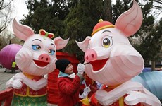 [Fotos] Países de Asia celebran fiestas del Nuevo Año Lunar 
