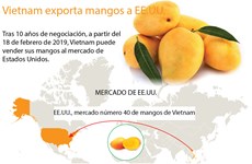 [Info]  Vietnam exportará mangos a Estados Unidos